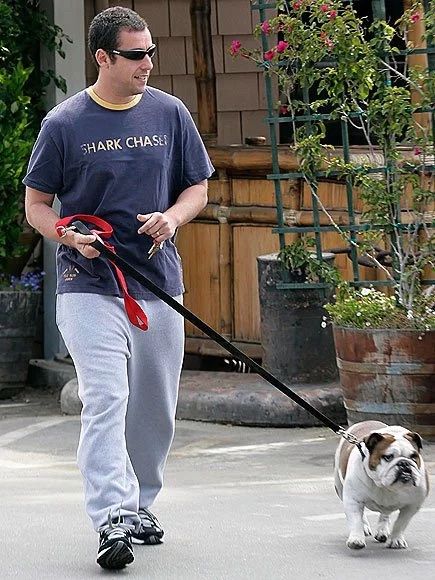 Navy Graphic Tee with Gray Sweatpants